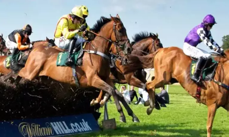 Horse Racing - How to Win With an Each Way Bet
