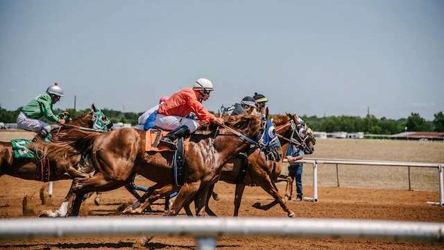 Free Bet No Deposit Horse Racing Sites in 2022