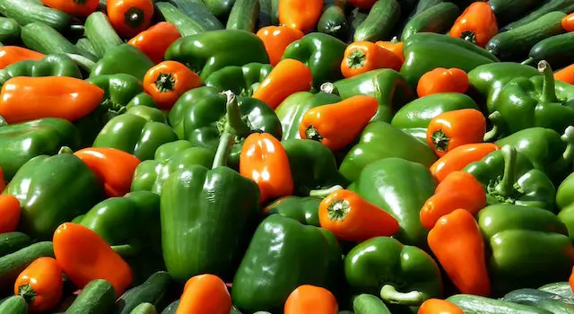 Peter Piper Chose An Assortment Of Peppers That He Had Picked Up From The Lyrics.